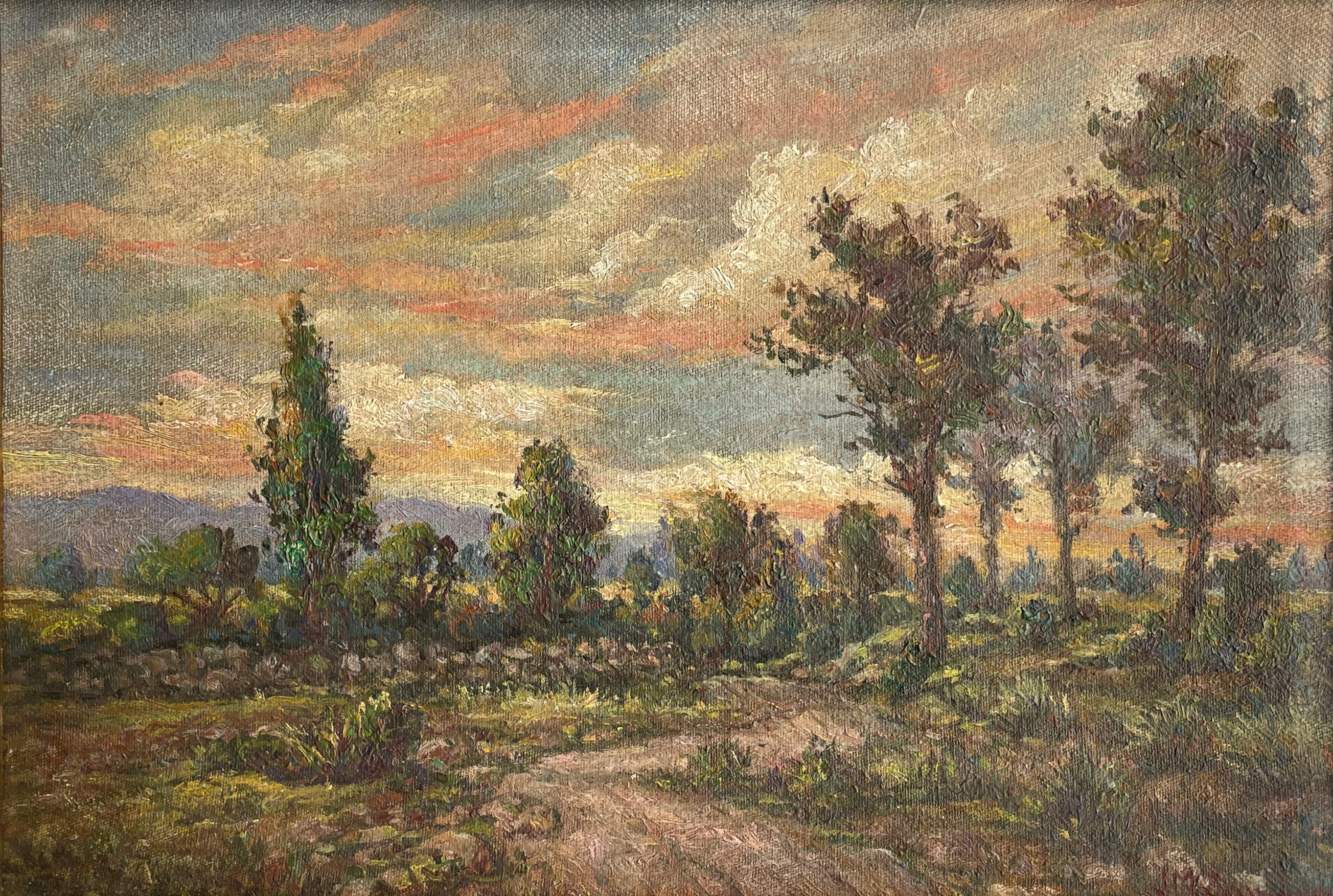Atardecer en la Sabana